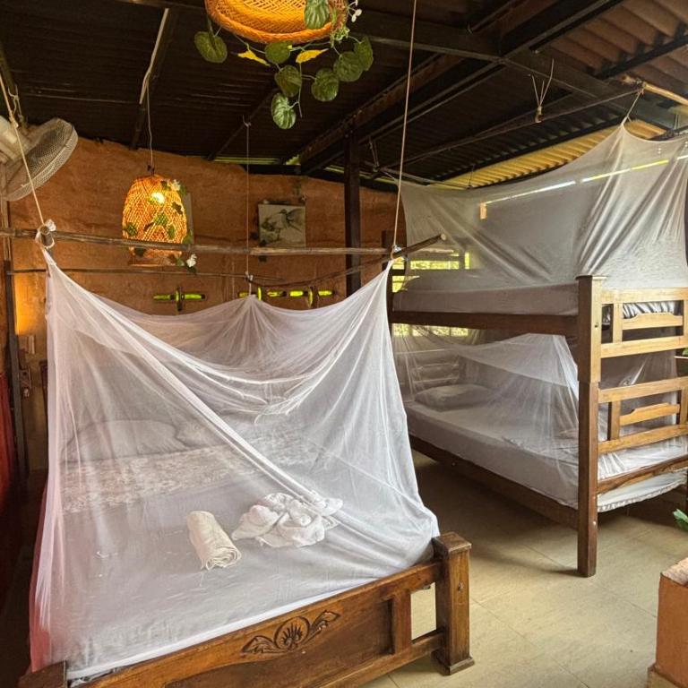 Hostal CASA COLIBRI MINCA - Chalet Superior - 2