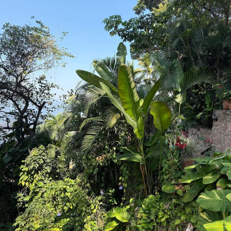 Oceanfront 2BR Loft Fast WiFi Views - Apartment mit 2 Schlafzimmern - 12