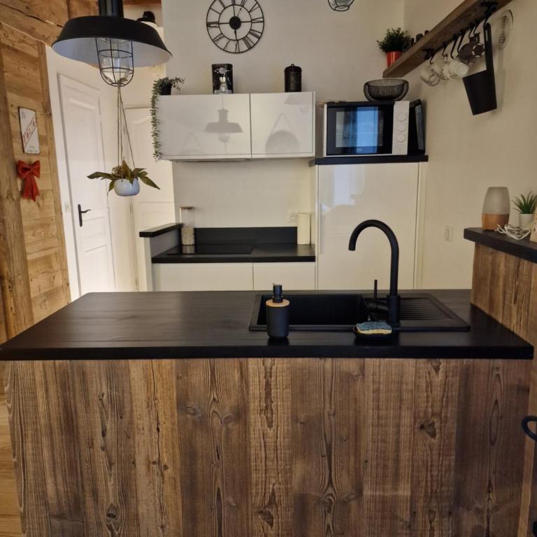 Côté Cour T2 une escapade de charme dans le Chambéry historique - Appartement 1 Chambre - 2