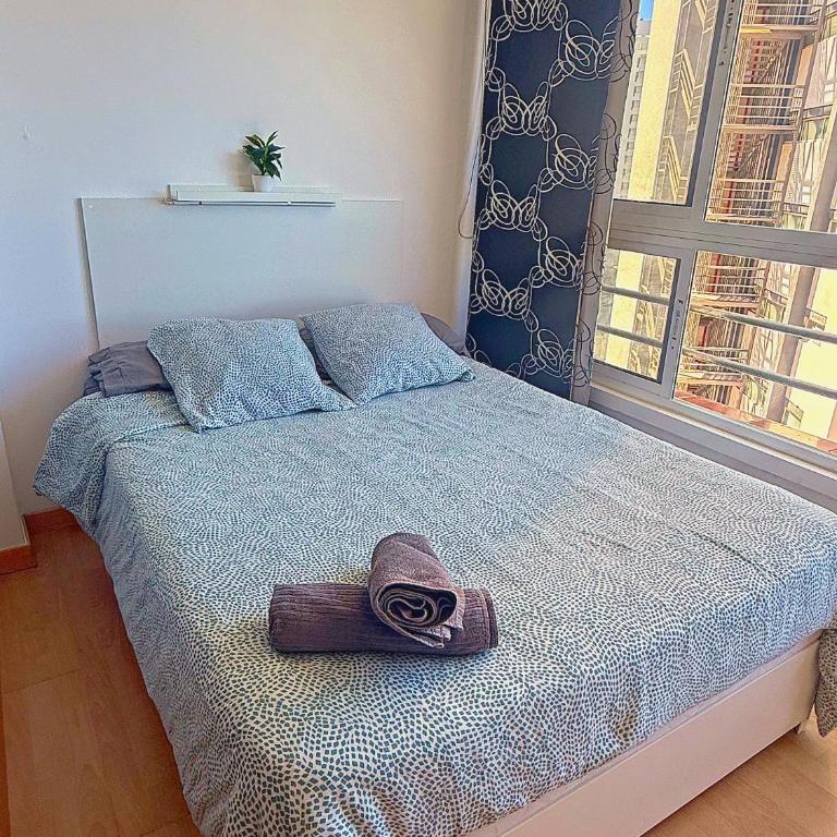 Amplio estudio en Martianez - Appartement 1 Chambre - 16
