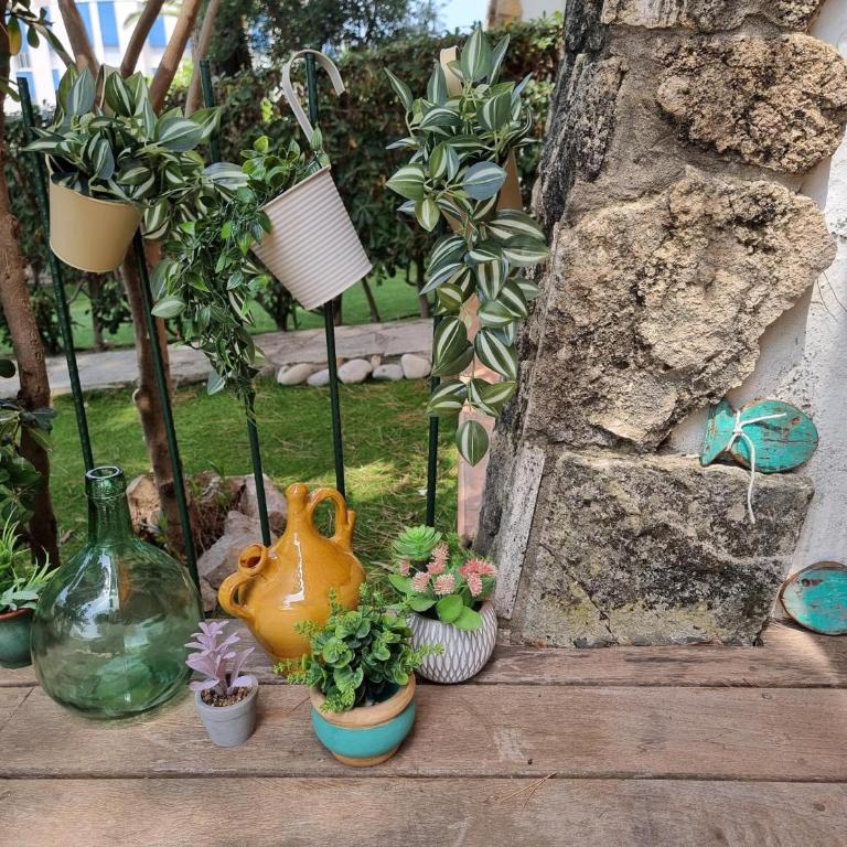 Apartamento acogedor con terraza a 400m de la playa - HISP-236-134 - Apartment - 17
