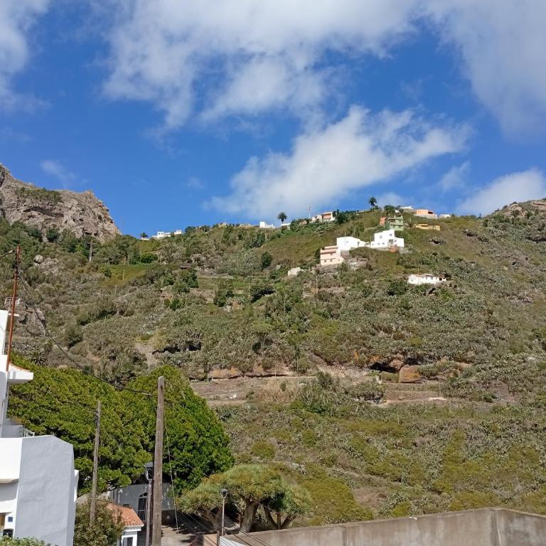 Holiday near forest - Apartamento de 1 dormitorio - 7