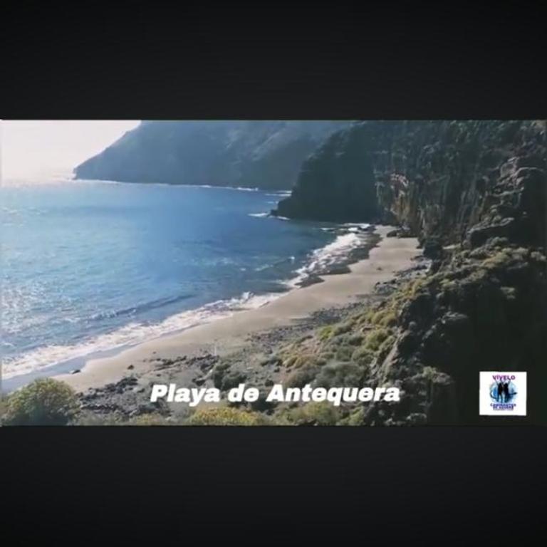Holiday near forest - Apartamento de 1 dormitorio - 8