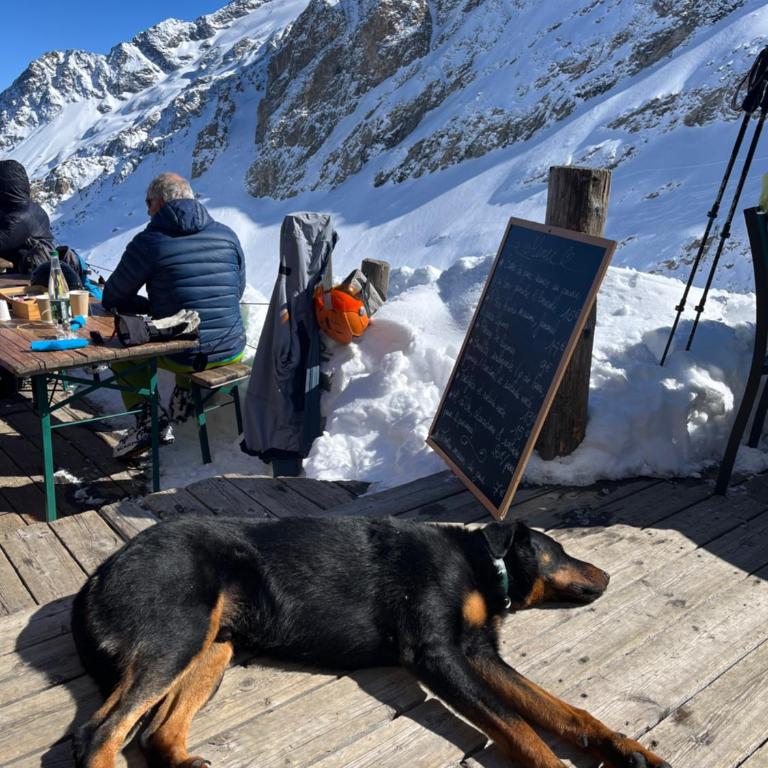 Briancon and Serre Chevalier - ski & hike & bike Art Deco Penthouse Petsche - Appartement 3 Chambres - 51