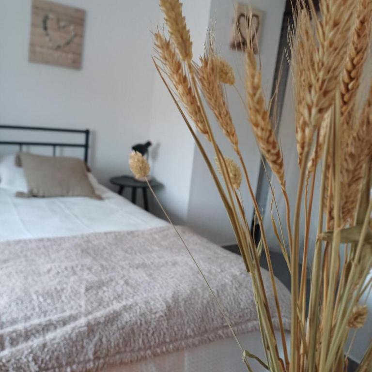 Casa DOMENICA - Apartment mit 1 Schlafzimmer mit Stadtblick - 7