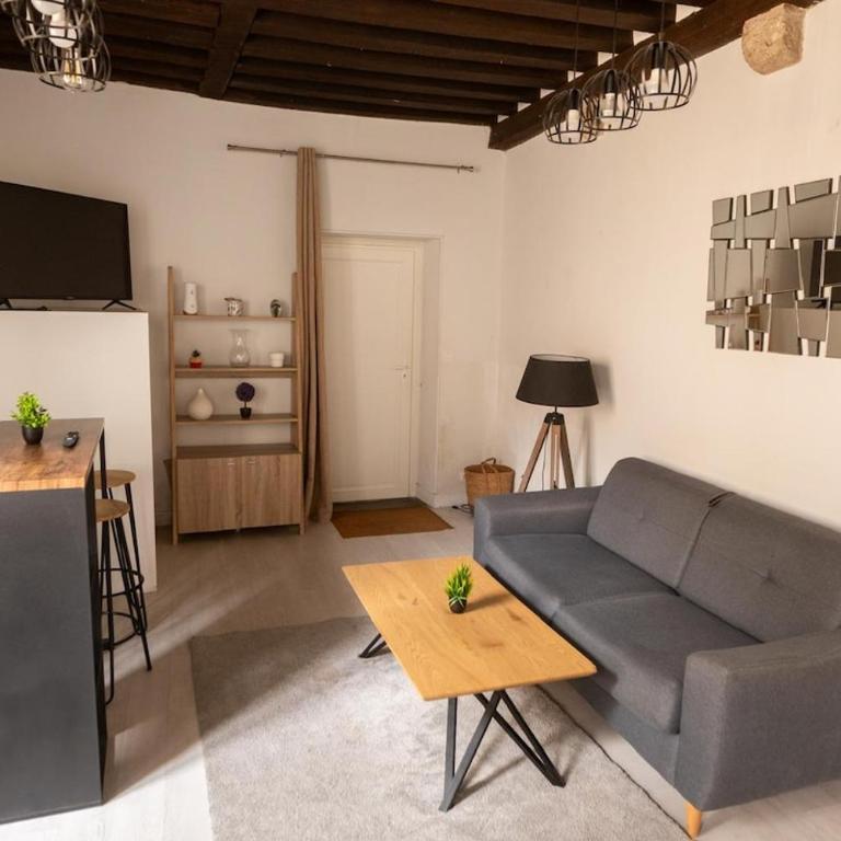 L'Écrin de Loire - 4 voyageurs Blois - Appartement 1 Chambre - 11
