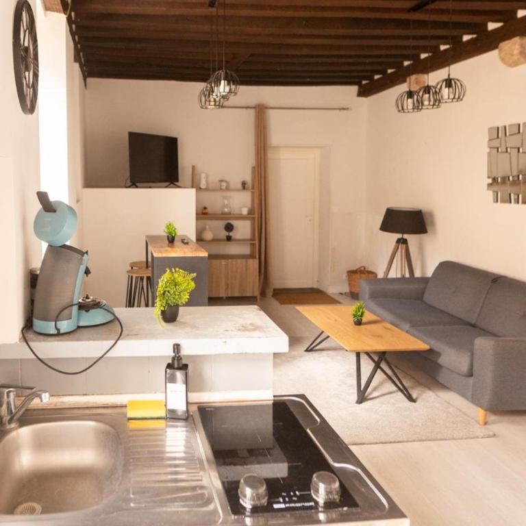 L'Écrin de Loire - 4 voyageurs Blois - Appartement 1 Chambre - 29