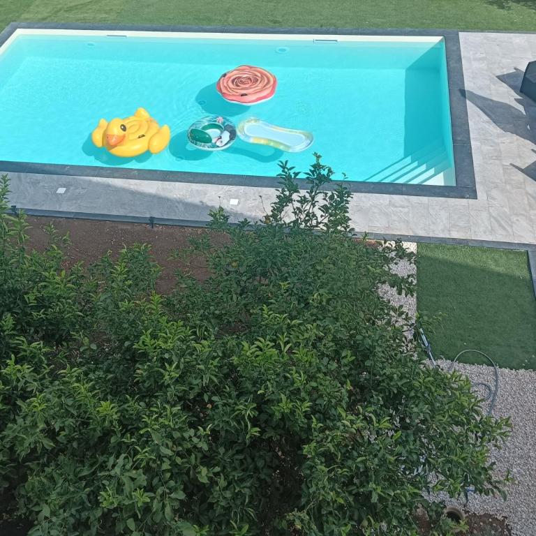 La casa di 8 pet-friendly home - Casa Vacanze - 3