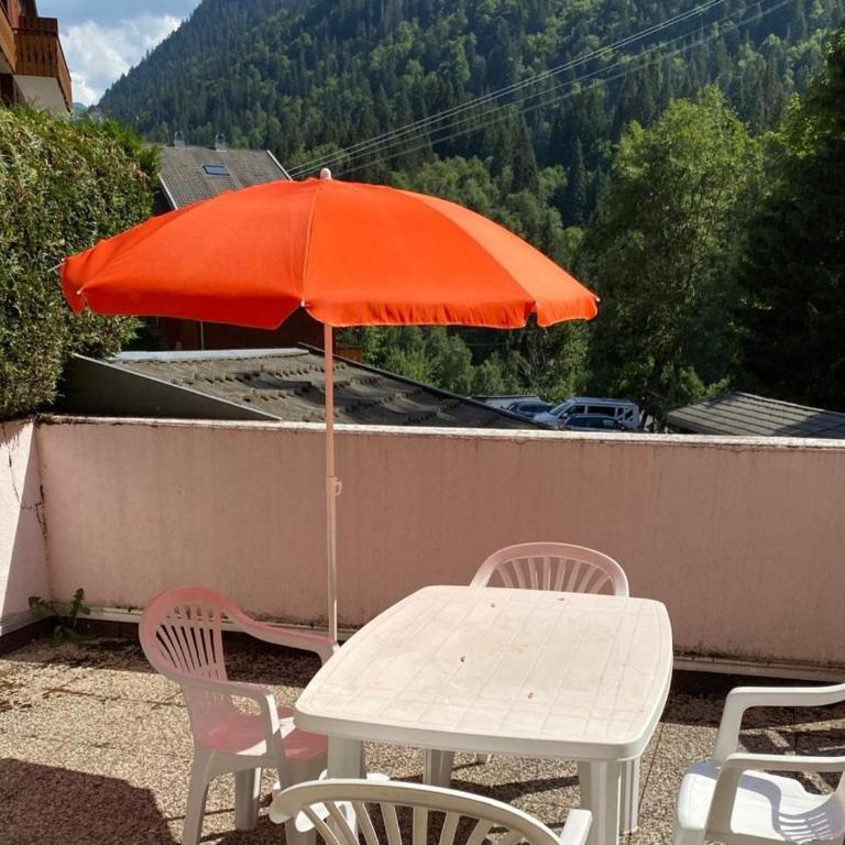 Charmant T2 au pied des pistes de Morzine avec wifi - FR-1-754-31 - Apartment - 15