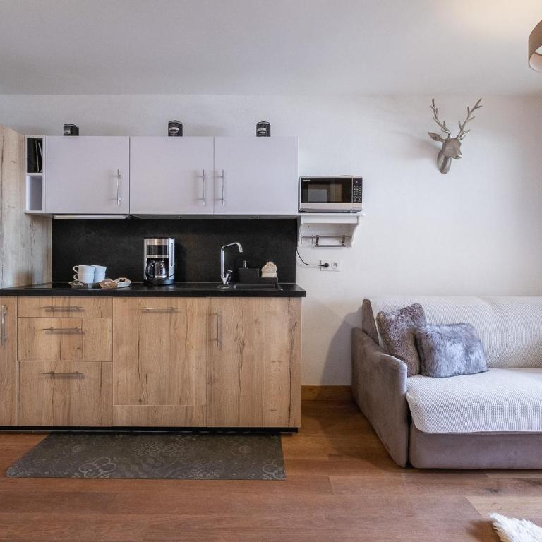 Appartement cosy près des pistes, 4 pers, Les Saisies - Apartment mit 1 Schlafzimmer - 11