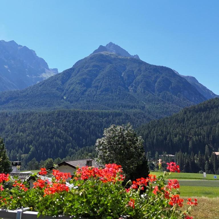 Typically Swiss Hotel Altana - Standard Doppelzimmer mit Balkon - 2