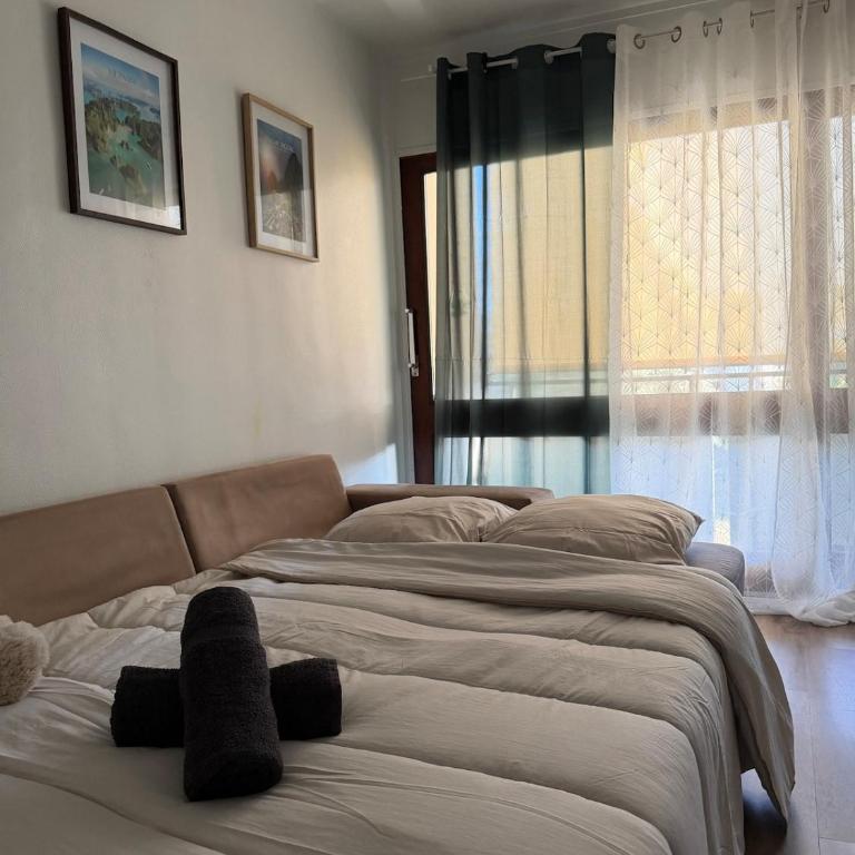 Le Luce - T3 proche centre - Parking - Apartment mit 2 Schlafzimmern - 15
