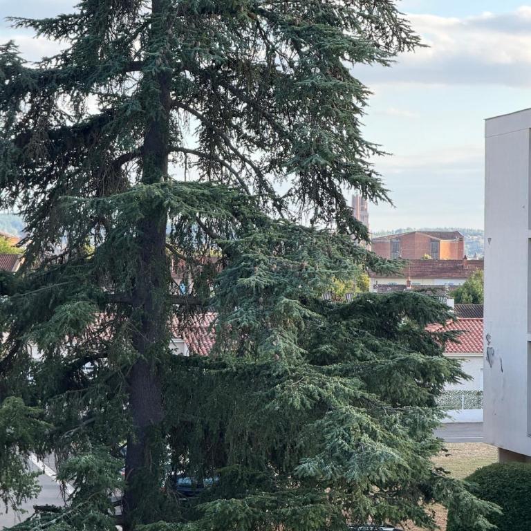 Le Luce - T3 proche centre - Parking - Apartment mit 2 Schlafzimmern - 19