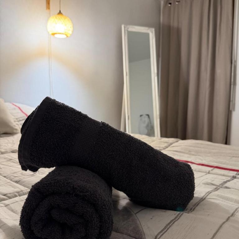 Le Luce - T3 proche centre - Parking - Apartment mit 2 Schlafzimmern - 28