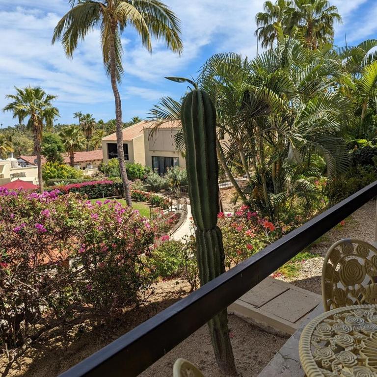Walk to Beach - Pool Access - Walk to Restaurants - Apartamento de 2 dormitorios - 3