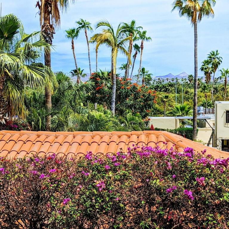 Walk to Beach - Pool Access - Walk to Restaurants - Apartamento de 2 dormitorios - 11