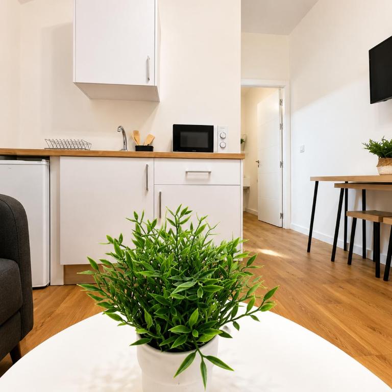 Apartamentos Rey - Appartement - 1