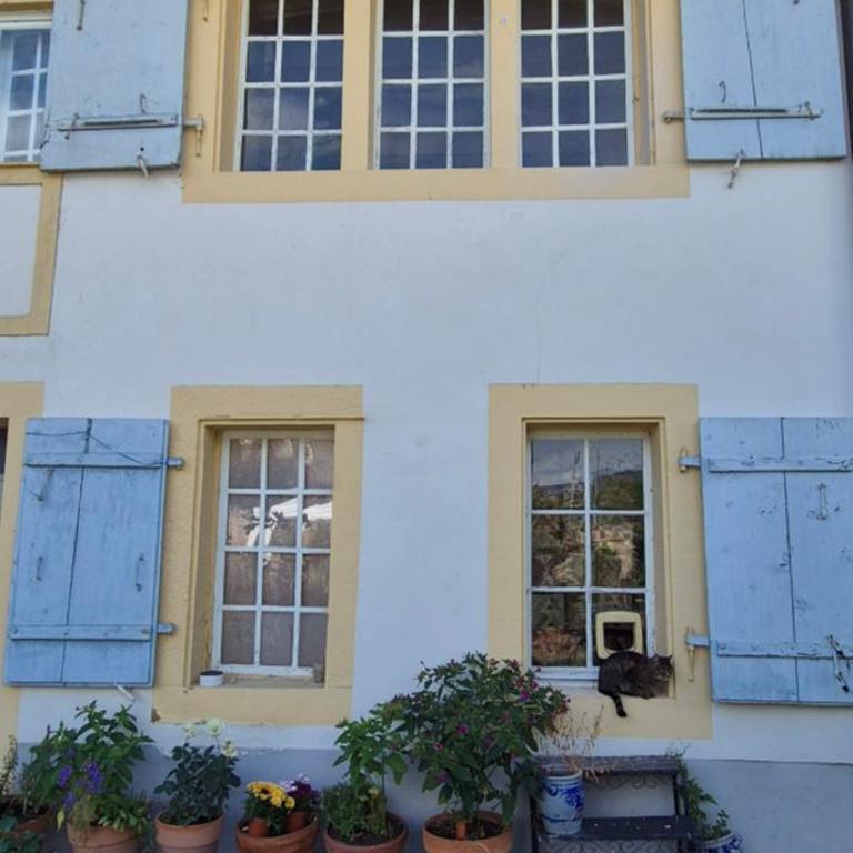 Pestalogis - Apartment mit 1 Schlafzimmer - 15