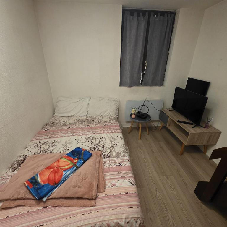 appartement équipé centre ville accepte les animaux, wifi gratuit au dessus de l'aquarium - Appartamento con 1 Camera da Letto - 1