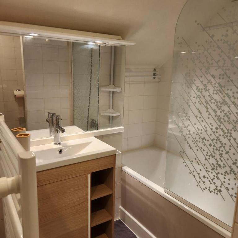 Agréable T2 plein centre parking privé - Appartement 1 Chambre - 10