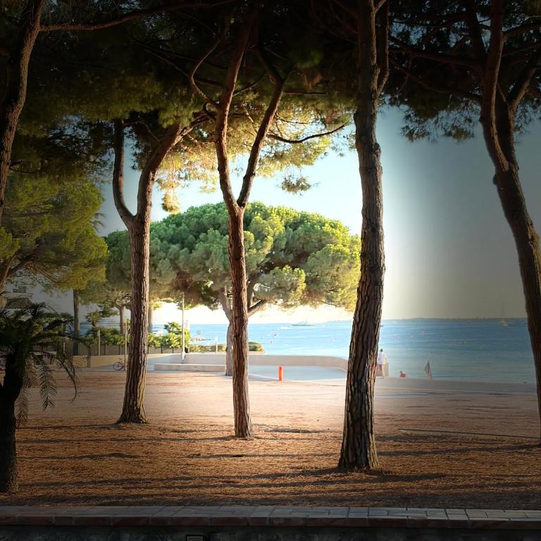 L'éden de Juan-les-pins - Studio Apartment with Queen Bed - 14