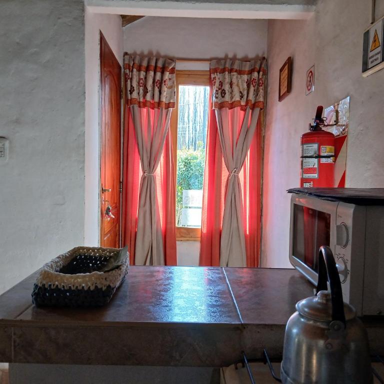 Los Abedules Bungalow - homestay - Casa con 1 dormitorio - 24