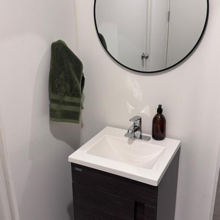 Apartment in downtown Monterrey - Appartement 1 Chambre - 24