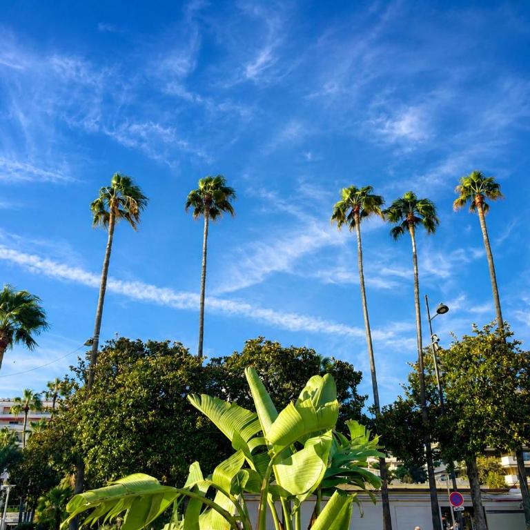Cannes Le Cannet 2 pièces climatisé 4 pers - One-Bedroom Apartment - 16
