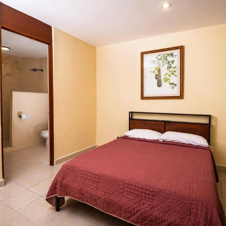 Spacious Loft and Large Bath Casa Jurel - Apartment - 4