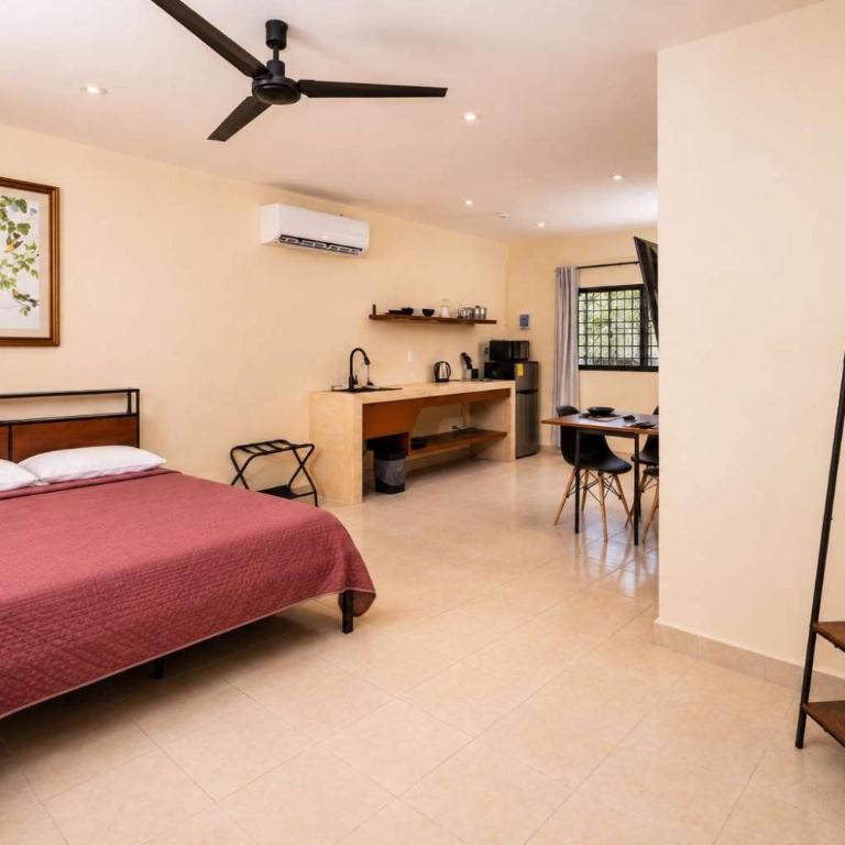 Spacious Loft and Large Bath Casa Jurel - Apartment - 1