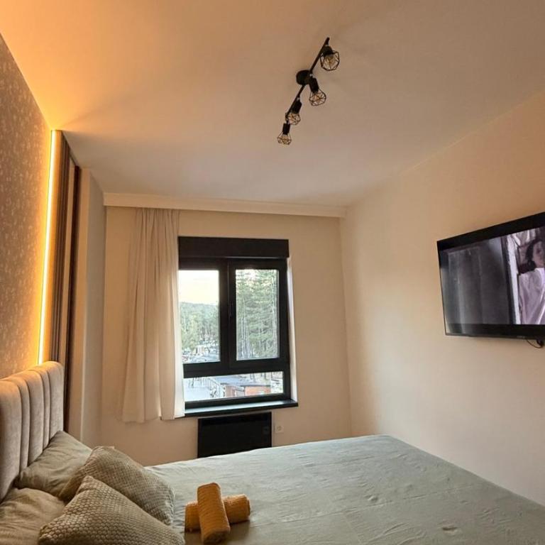 Apartman Infinity - Zlatibor - One-Bedroom Apartment - 29