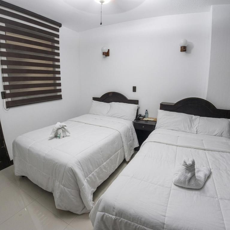 Hotel Casa Colibri - Habitación Doble - 2 camas - 4