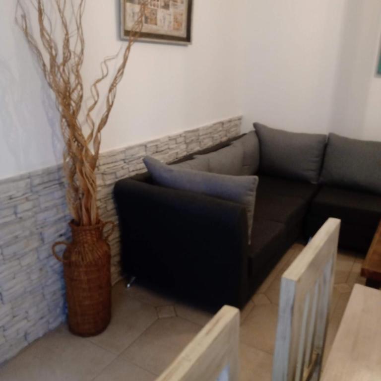 Casona céntrica alameda mendoza - Two-Bedroom Apartment - 5