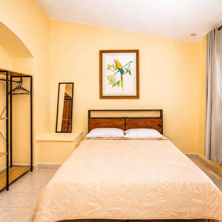 Private Terrace Suite with Park View Casa Jurel - Apartment - 4
