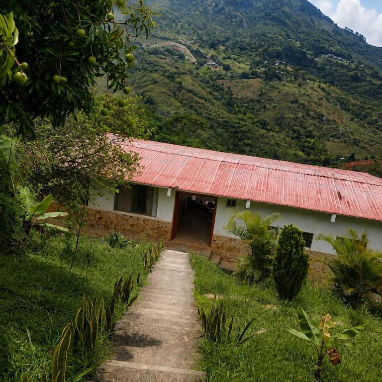 Glamping privado con piscina y vista a la montaña - Habitación Doble con vistas a la montaña - 19