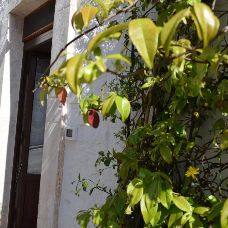Suggestiva Dimora in pietra - Arcaica Cummersa - Two-Bedroom Superior Apartment - 18
