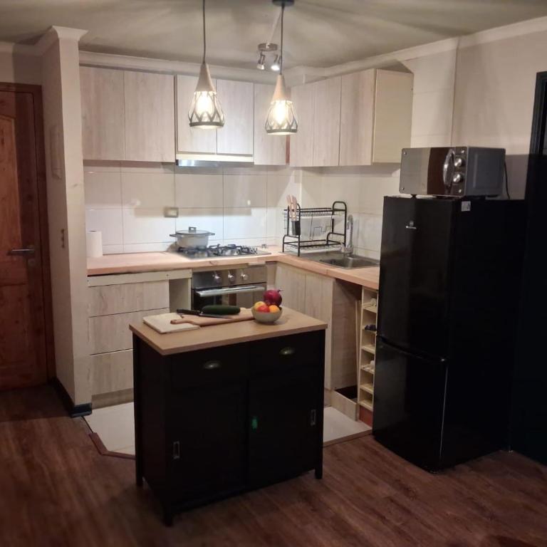 Entre Lago y Volcán - Apartamento de 2 dormitorios - 5