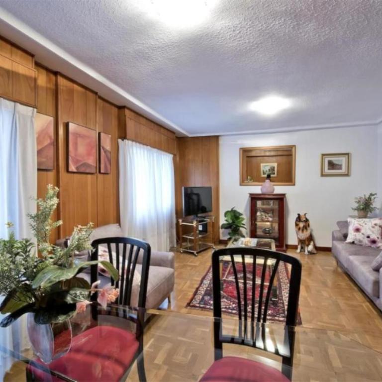 Apartamento Céntrico y muy Amplio - Apartment mit 1 Schlafzimmer - 4