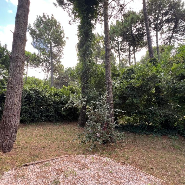 Casa moderna en Valeria del Mar - Three-Bedroom House - 53