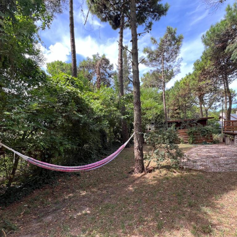 Casa moderna en Valeria del Mar - Three-Bedroom House - 57