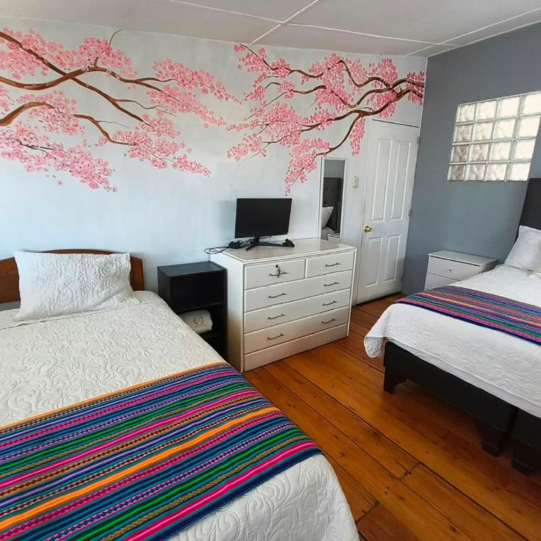 Hatuchay Inka Apart Hotel - Twin Room with Garden View - 1