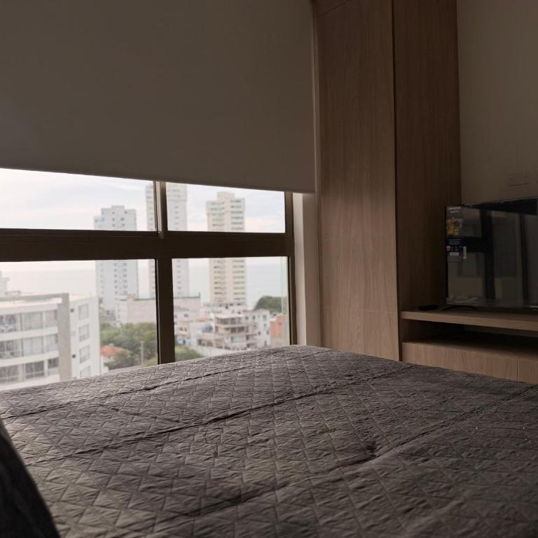 Apartamento Rodadero 01 - Apartamento de 2 dormitorios - 24