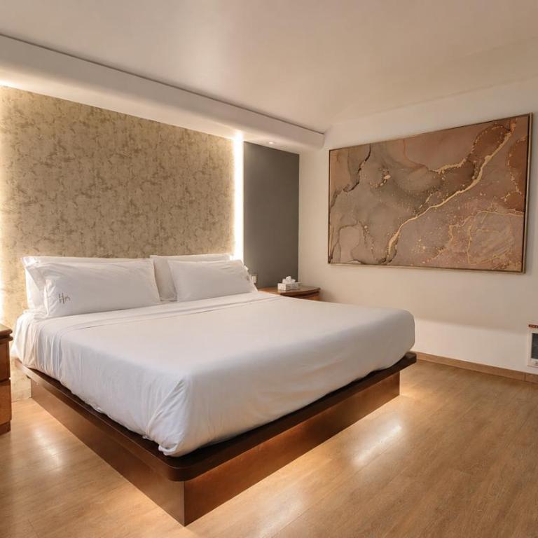 Hotel Franklin - Habitación Deluxe - 1