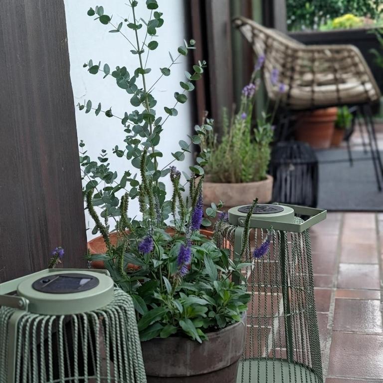 Alpenblick 17 - Chiemgau Karte - Apartment mit Balkon - 18