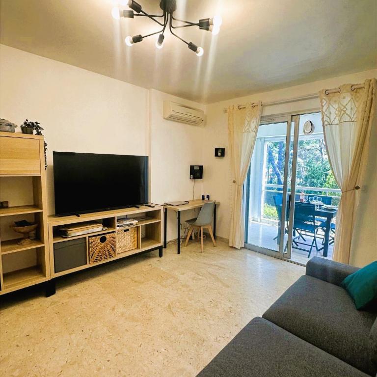T2 cosy - terrasse vue pinède - clim - parking privé - Appartement 1 Chambre - 1