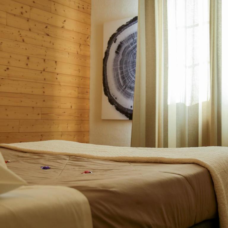 Logis Hôtel Aurélia - Chambre Double - 8