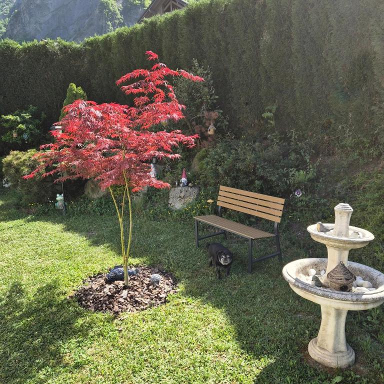 Le cocon des Alpes - Villa - Vue sur Jardin - 2