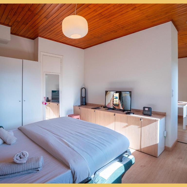 Chez Sophie I Studio I Veigy Foncenex - Appartement 1 Chambre - 15