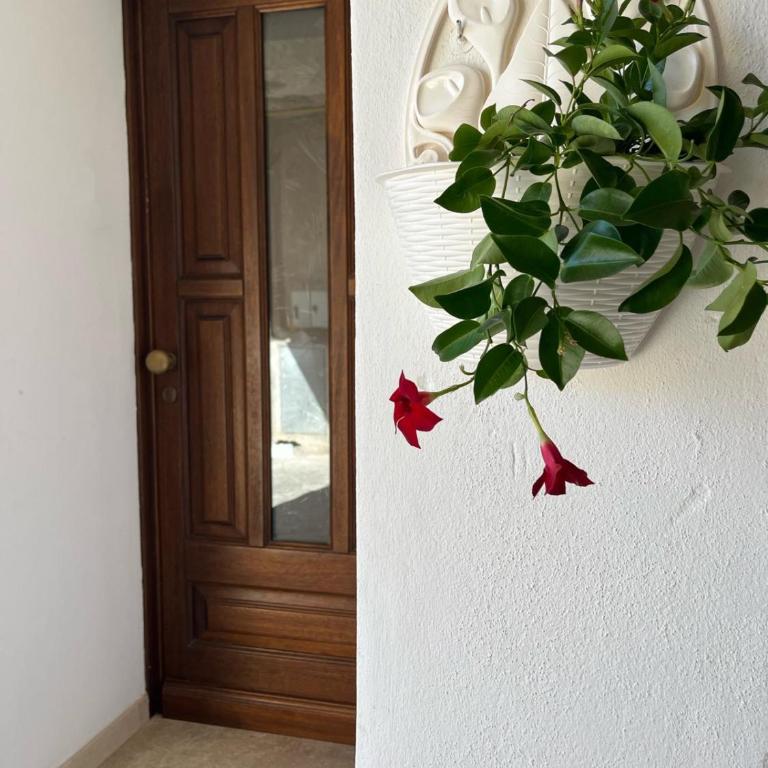 Casa Vacanza La Pavoncella - One-Bedroom House - 2