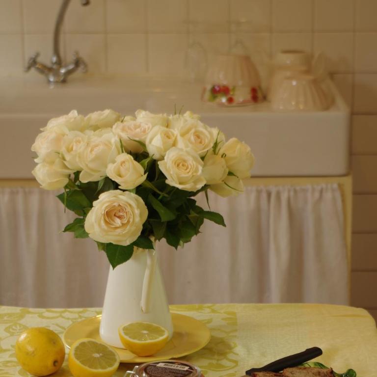 Maison Au Jardin - Maison 4 Chambres - 31